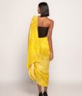 Bodysuit & Sari